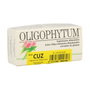 Holistica Oligophytum Cobre, Zinc (H15 CUZ) 100 gránulos