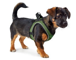 Hunter Arnés Hilo Comfort M-L Verde Claro Cuello: 58-63 cm Vientre: 65-70 cm Transpirable Ligero Malla 3D Confort Fácil de Usar