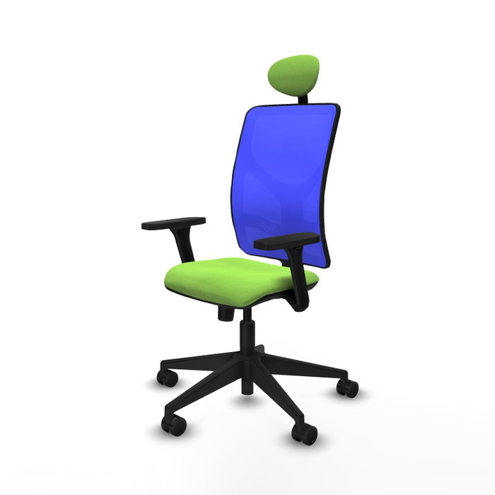PIQUERAS Y CRESPO Silla de oficina Motilla con mecanismo Sincro, Azul y Pistacho PIQUERAS Y CRESPO Silla de oficina Motilla con mecanismo Sincro, Azul y Pistacho