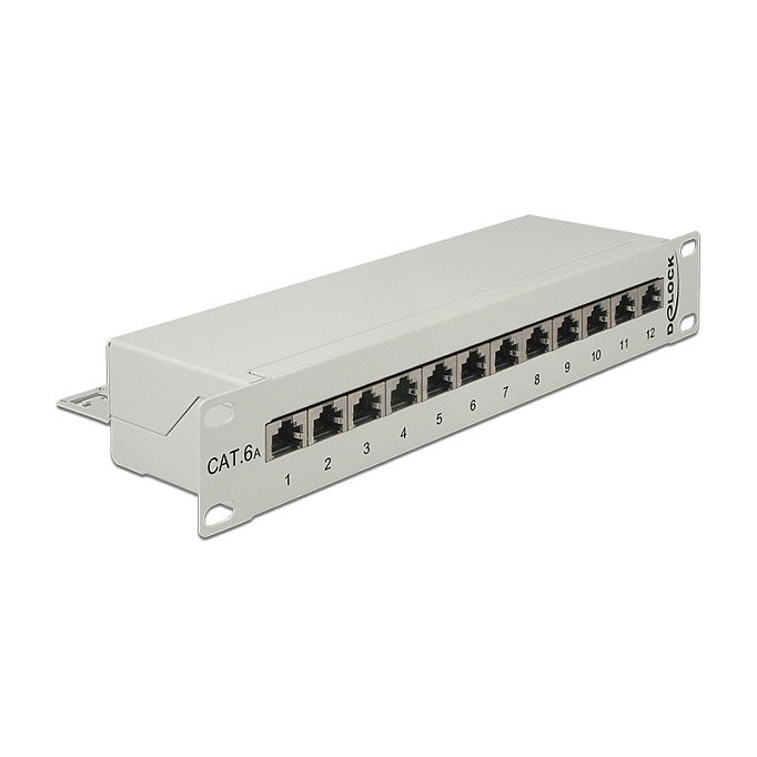 DeLOCK 43308 Patch Panel 12 Puertos Cat.6A Gris DeLOCK 43308 Patch Panel 12 Puertos Cat.6A Gris