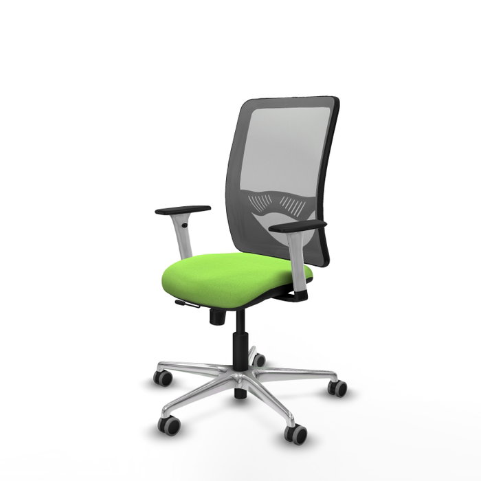 PIQUERAS Y CRESPO Silla de oficina Zulema Pistacho/Gris con mecanismo Sincro/Traslack PIQUERAS Y CRESPO Silla de oficina Zulema Pistacho/Gris con mecanismo Sincro/Traslack