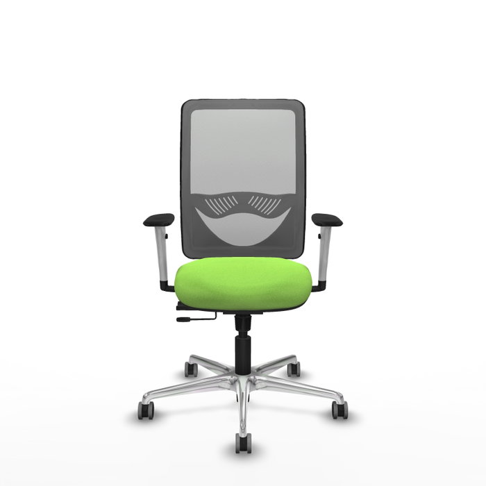 PIQUERAS Y CRESPO Silla de oficina Zulema Pistacho/Gris con mecanismo Sincro/Traslack PIQUERAS Y CRESPO Silla de oficina Zulema Pistacho/Gris con mecanismo Sincro/Traslack