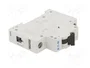 EATON ELECTRIC FAZ-Z16/1 Interruptor magnetotérmico 16A 1P 10kA
