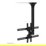 Neomounts Soporte de Techo para TV/Monitor hasta 60" (152 cm) 35KG FPMA-C400BLACK Negro
