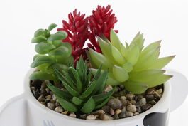 DKD Home Decor Planta Decorativa Blanco Multicolor Dolomite PVC 12.5 x 14 x 17 cm (2 Unidades)