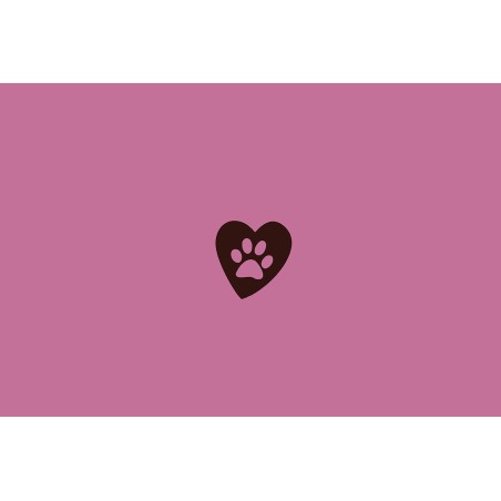 Nayeco Comedero para Mascotas Love Paw de Acero Inoxidable 0,55L - Rosa con Base Antideslizante, Diseño Blanco y Dorado