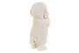 DKD Home Decor Figura de Perro en Resina Surtido de 2 Modelos