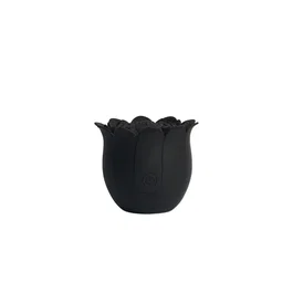 Cere Chrysanthemum Vibrator Negro