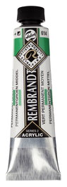 Rembrandt Colores Acrílicos Verde Permanente Medio 614 Tubo 40 ml