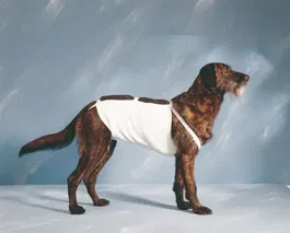 Henry Schein Vendaje Abdominal T-3 44 cm para Postquirúrgico y Sujeción de Apósitos