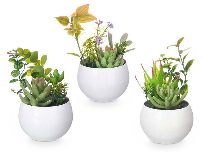 Ibergarden Maceta Redonda Blanca Surtido 6 Plástico 8x8x16 cm (Set de 24)