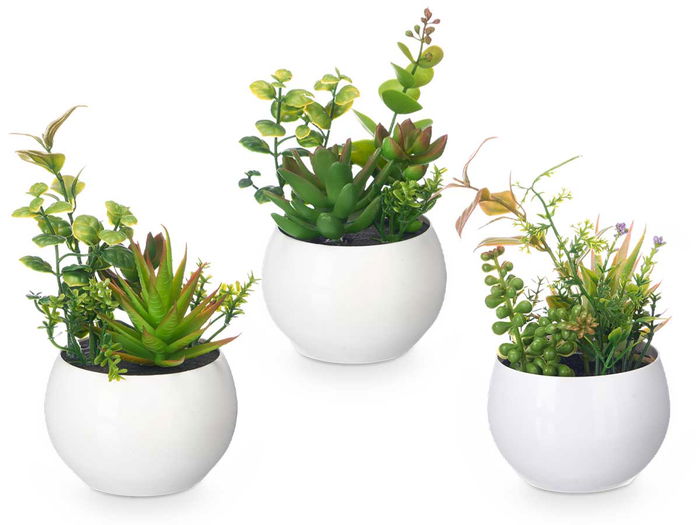 Ibergarden Maceta Redonda Blanca Surtido 6 Plástico 8x8x16 cm (Set de 24)