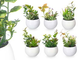 Ibergarden Maceta Redonda Blanca Surtido 6 Plástico 8x8x16 cm (Set de 24)