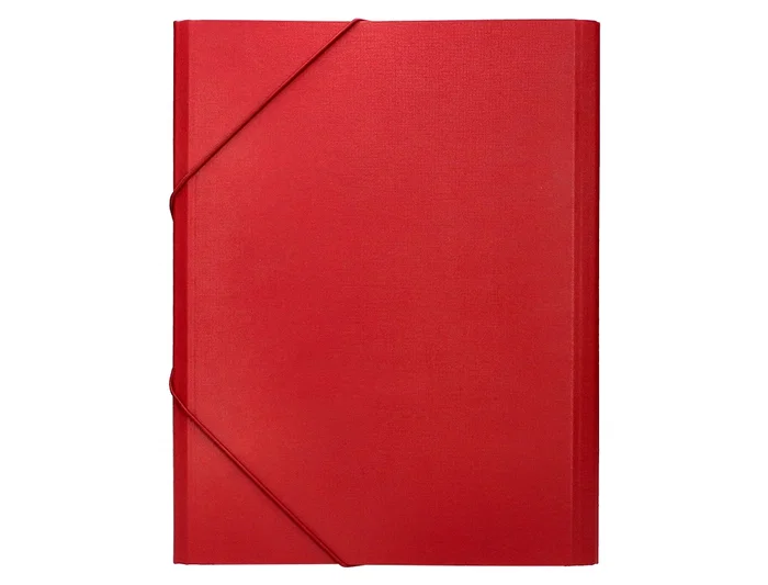 Liderpapel Carpeta Clasificadora Folio Prolongado Cartón Forrado 12 Departamentos Color Rojo