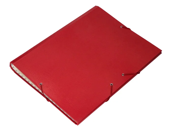 Liderpapel Carpeta Clasificadora Folio Prolongado Cartón Forrado 12 Departamentos Color Rojo