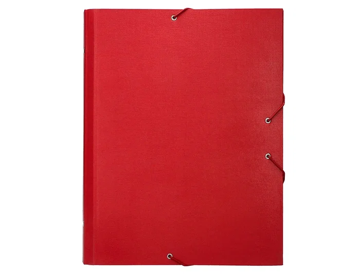 Liderpapel Carpeta Clasificadora Folio Prolongado Cartón Forrado 12 Departamentos Color Rojo