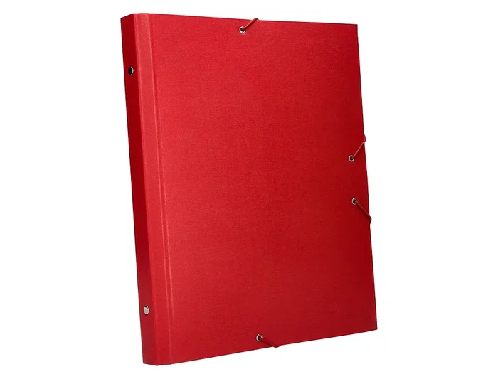 Liderpapel Carpeta Clasificadora Folio Prolongado Cartón Forrado 12 Departamentos Color Rojo