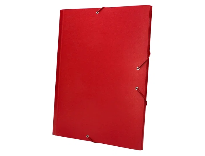 Liderpapel Carpeta Clasificadora Folio Prolongado Cartón Forrado 12 Departamentos Color Rojo
