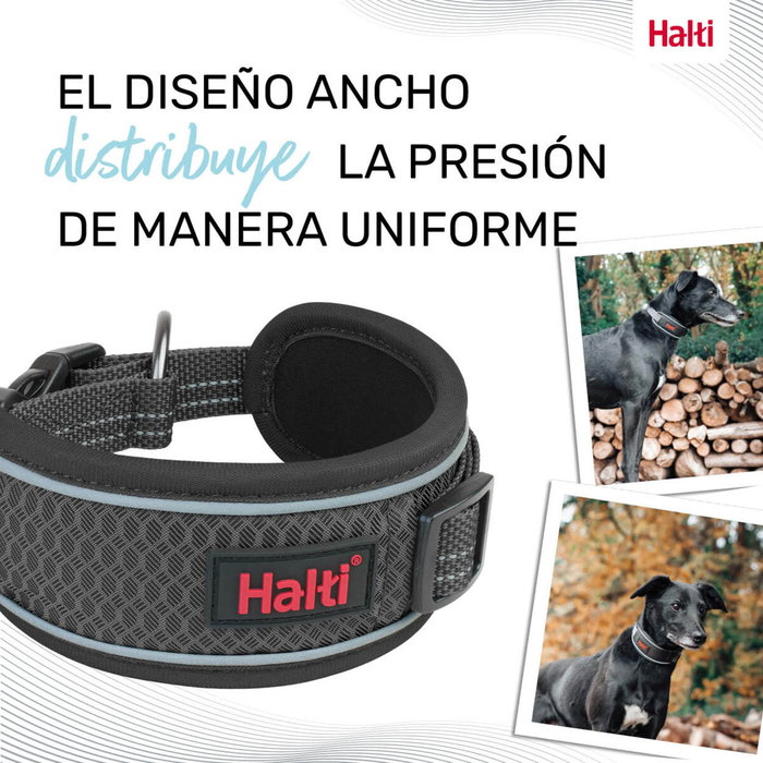 Collar para Perro Company of Animals Gris