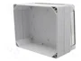 ELEKTRO-PLAST NASIELSK Carcasa Universal Industrial Gris IP65