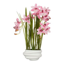 Mica Decorations Maceta Cymbidium (orquidea barco) Rosa Polyester 40 x 49 x 81 cm