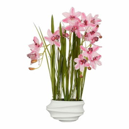 Mica Decorations Maceta Cymbidium orquidea barco rosa, 40 x 49 x 81 cm