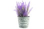 DKD Home Decor Flor Cottage Lila 27 x 14.5 cm (4 Unidades)
