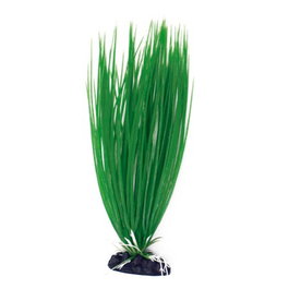 Nayeco Planta Artificial Acorus 28-30 cm para Acuarios
