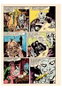 Historias de Ultratumba de Tom Sutton. (Biblioteca de Comics de Terror de Los Años 50. Volumen 13)