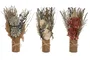 DKD Home Decor Ramo de Flores Secas Surtido 20x12x35 cm