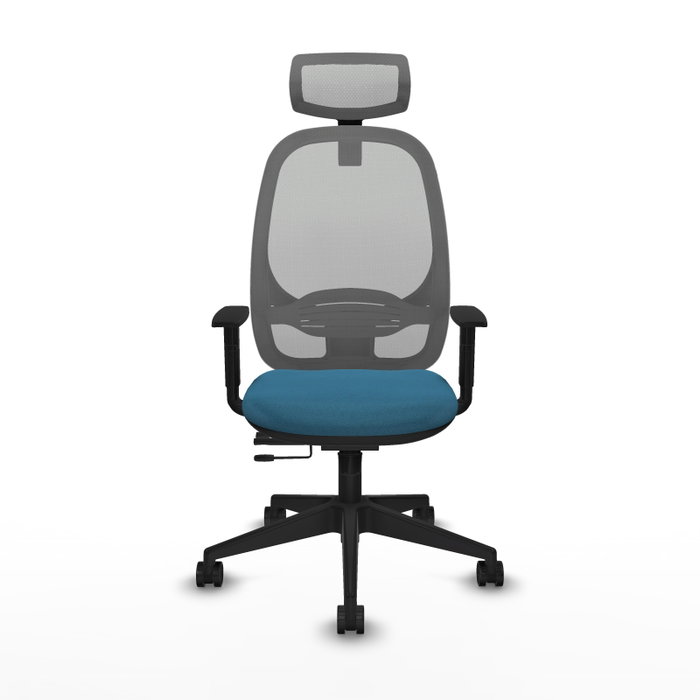 PIQUERAS Y CRESPO Silla de oficina Cilanco con mecanismo Sincro/Traslack Verde petróleo y Gris PIQUERAS Y CRESPO Silla de oficina Cilanco con mecanismo Sincro/Traslack Verde petróleo y Gris