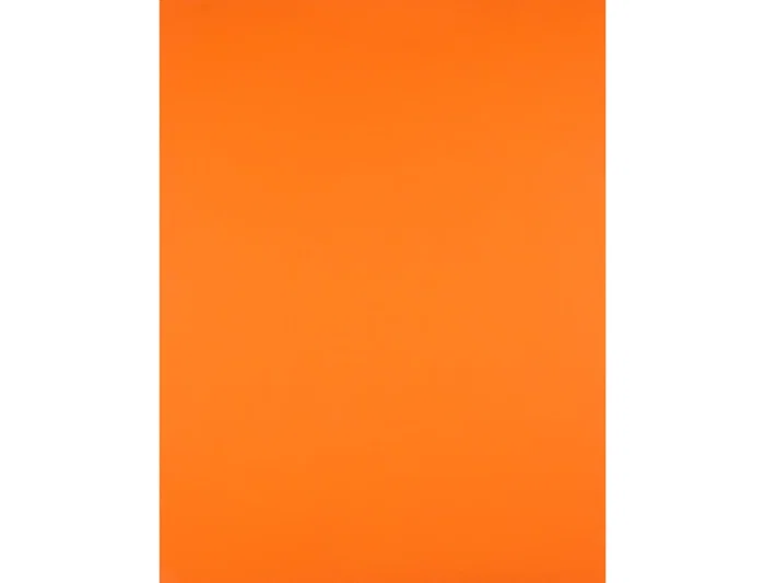 Liderpapel Cartulina 50x65 cm 240g/m2 Naranja para Dibujo y Manualidades