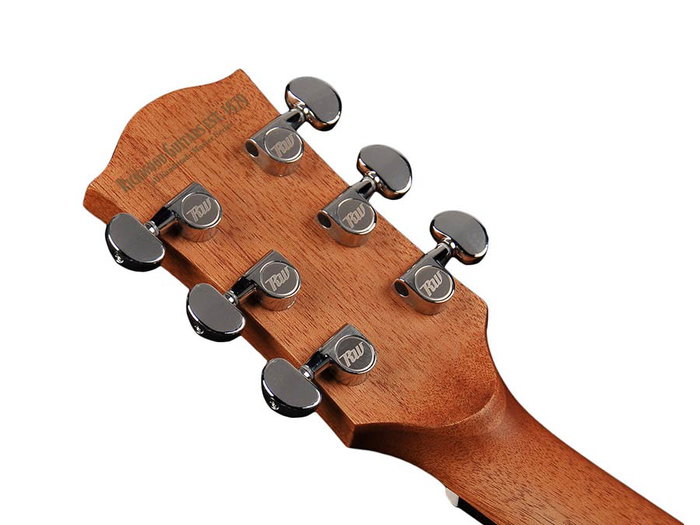 Richwood A-50 Guitarra Acústica Auditorium