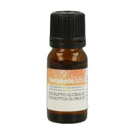 Terpenic Aceite Esencial de Eucalipto Globulus Bio 10ml
