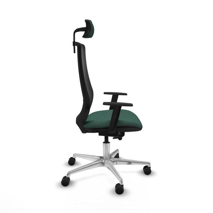 PIQUERAS Y CRESPO Silla de oficina Mardos con mecanismo Sincro/Traslack, Verde botella y Negro PIQUERAS Y CRESPO Silla de oficina Mardos con mecanismo Sincro/Traslack, Verde botella y Negro