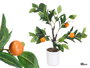 Ibergarden Planta Naranjo 58 cm, Plástico, Espuma, Melamina, Blanco, Marrón, Naranja, Verde (Set de 6)