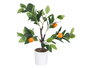 Ibergarden Planta Naranjo 58 cm, Plástico, Espuma, Melamina, Blanco, Marrón, Naranja, Verde (Set de 6)