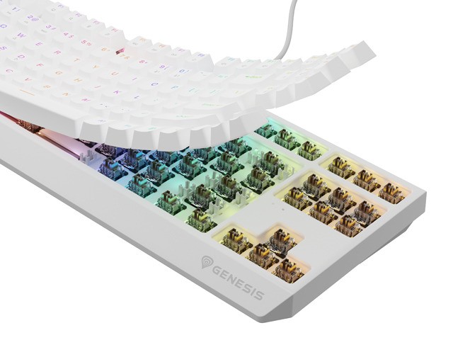 Genesis Thor 230 TKL Teclado Mecánico Blanco RGB Outemu Brown Layout Polaco