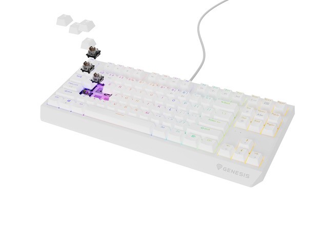 Genesis Thor 230 TKL Teclado Mecánico Blanco RGB Outemu Brown Layout Polaco