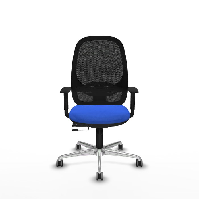 PIQUERAS Y CRESPO Silla de oficina Cilanco con mecanismo Sincro/Traslack, Azul y Negro PIQUERAS Y CRESPO Silla de oficina Cilanco con mecanismo Sincro/Traslack, Azul y Negro