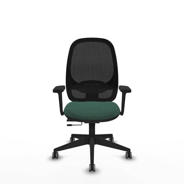 PIQUERAS Y CRESPO Silla de oficina Cilanco con mecanismo Sincro/Traslack, Verde botella y Negro PIQUERAS Y CRESPO Silla de oficina Cilanco con mecanismo Sincro/Traslack, Verde botella y Negro