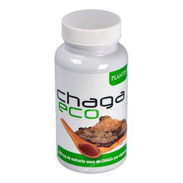 Chaga Eco