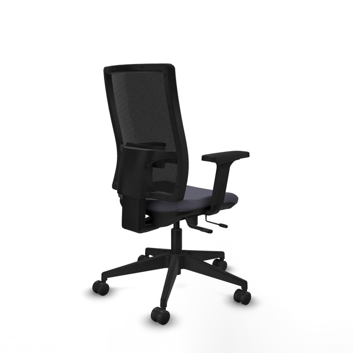 PIQUERAS Y CRESPO Silla de oficina Horna con mecanismo Sincro/Traslack, Gris oscuro y Negro PIQUERAS Y CRESPO Silla de oficina Horna con mecanismo Sincro/Traslack, Gris oscuro y Negro