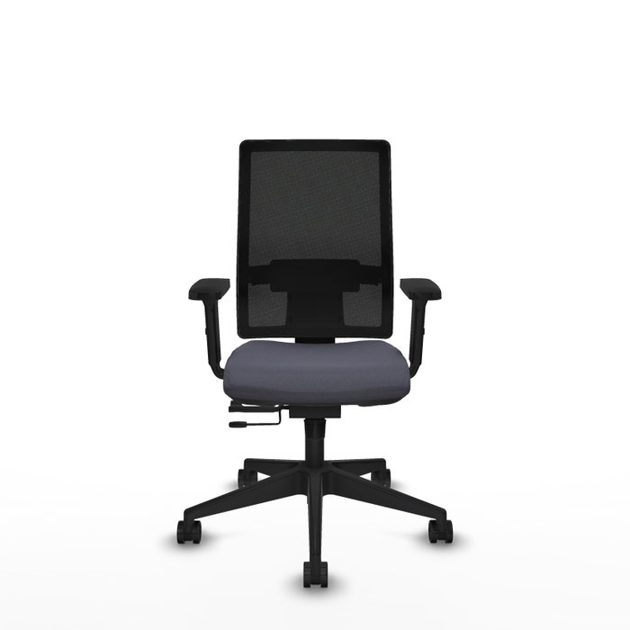 PIQUERAS Y CRESPO Silla de oficina Horna con mecanismo Sincro/Traslack, Gris oscuro y Negro PIQUERAS Y CRESPO Silla de oficina Horna con mecanismo Sincro/Traslack, Gris oscuro y Negro