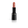 Collistar ROSSETTO PURO Barra de Labios 100-terra di siena