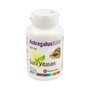SURA VITASAN Astrágalus 8000 90 cápsulas 500mg