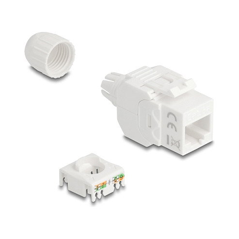 DeLOCK 90721 Módulo Keystone RJ45 Hembra a LSA Cat.6A UTP Blanco