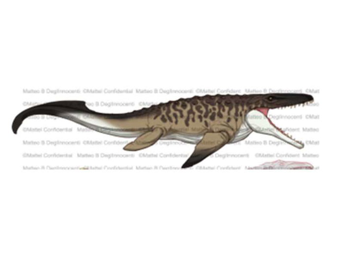 Mattel Mosasaurus JCH00 Jurassic World Gigante 65 cm Articulado Mordedor Juguete para Niños +4 Años