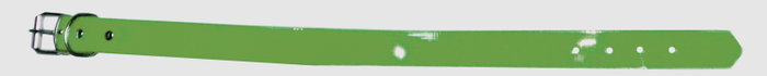 Collar Biothane Higiénico Duradero 25 mm 40 cm Verde Collar Biothane Higiénico Duradero 25 mm 40 cm Verde