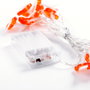 Guirnalda LED Interior 3M Blanco Cálido